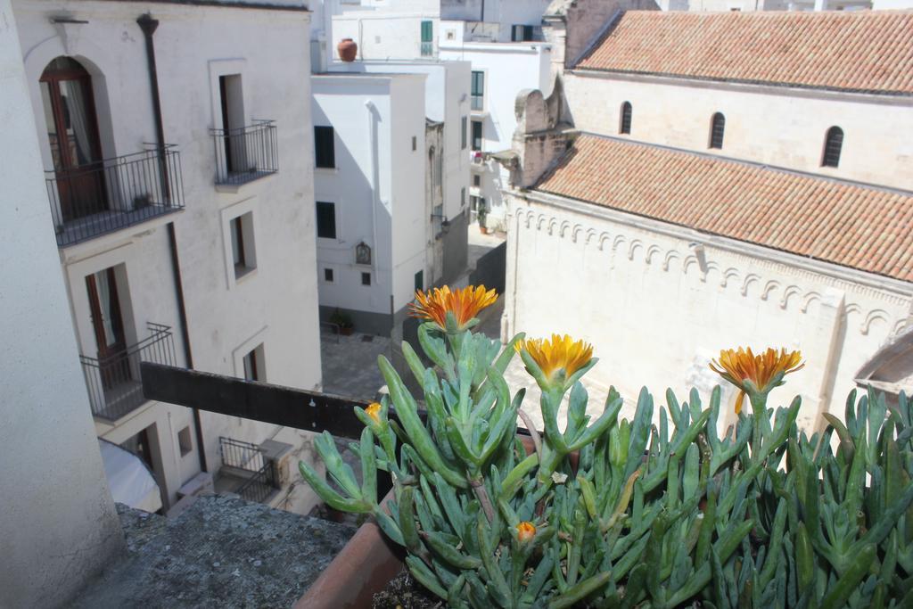 מונופולי Palazzo Dei Gesuiti מראה חיצוני תמונה